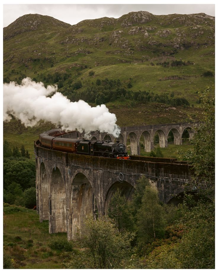 a train traveling over a bridge with steam pouring out of it