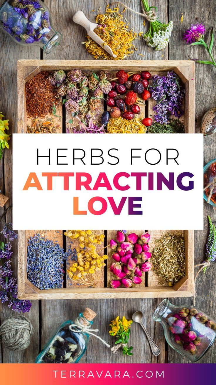 Herbs for attracting love. Love Herbs Magic, Herbs For Love, Love Herbs, Herb Guide, Attracting Love, Chakra Health, Love Magic, Magic Herbs, Magical Herbs