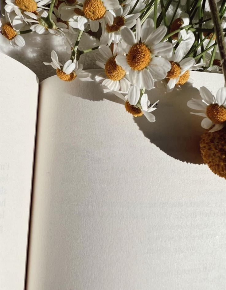 an open book with white and yellow flowers on it