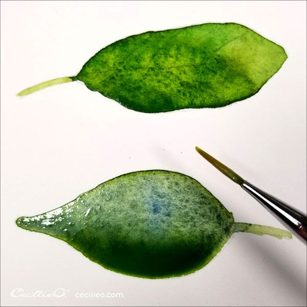 two green leaves are being painted with watercolors