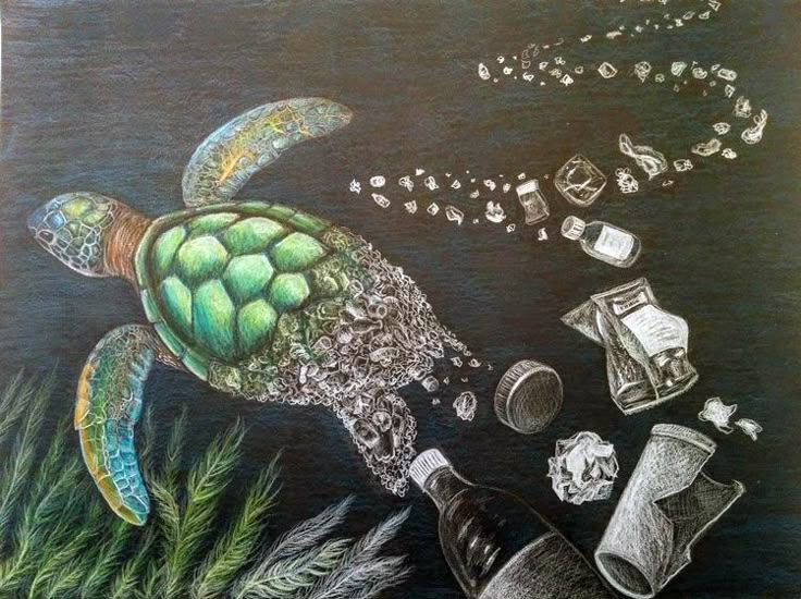 a drawing of a sea turtle surrounded by trash and other items on a blackboard