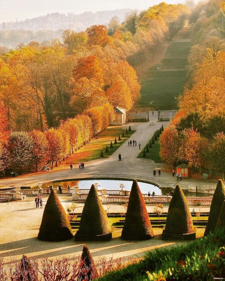 an aerial view of a park in the fall