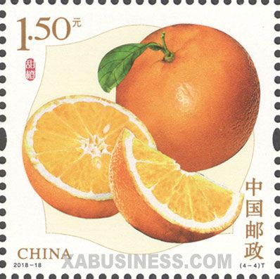 a stamp with two oranges and one slice cut in half on top of each other