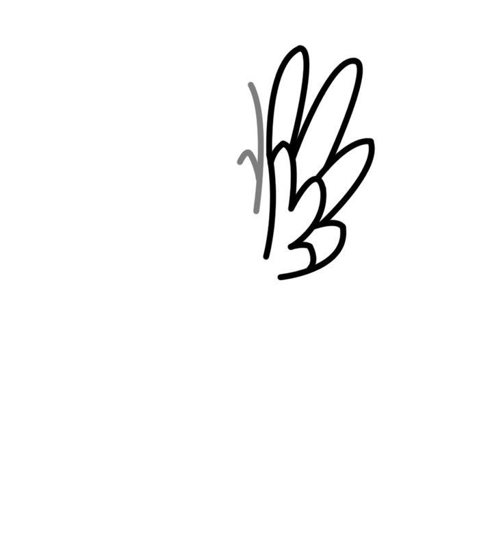 a black and white drawing of a bird with its wings spread out in the air