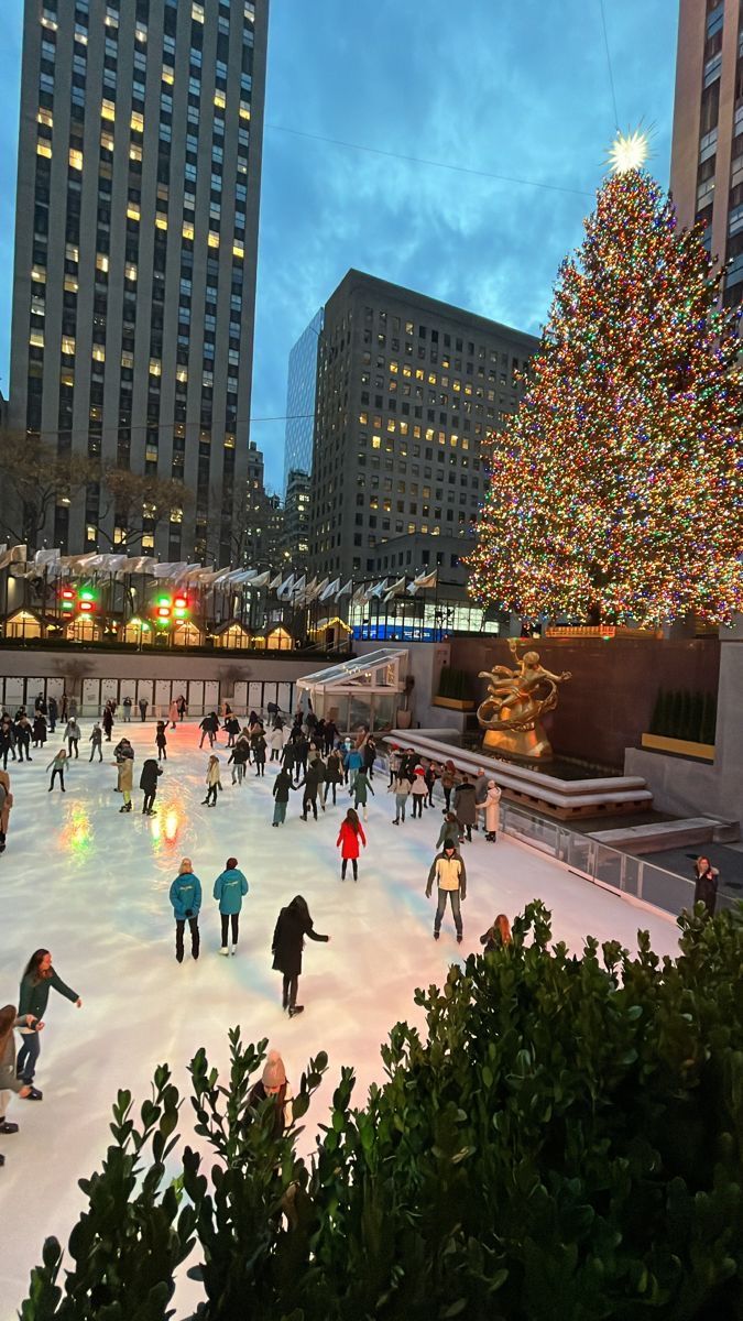 people skating on an ice rink in front of a christmas tree