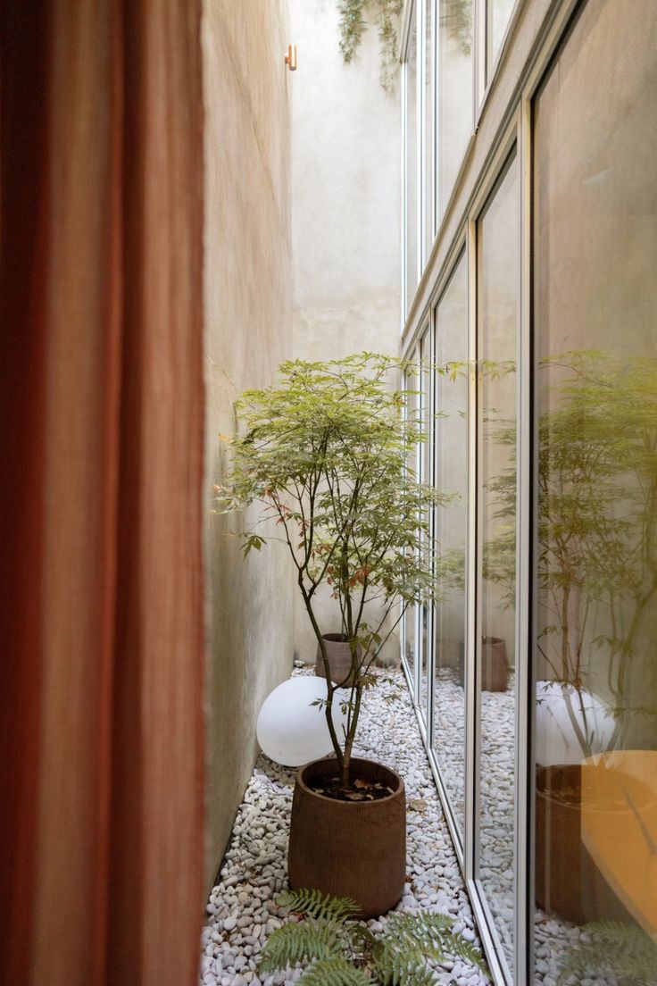 there is a potted plant in the corner of this room with glass walls and gravel flooring