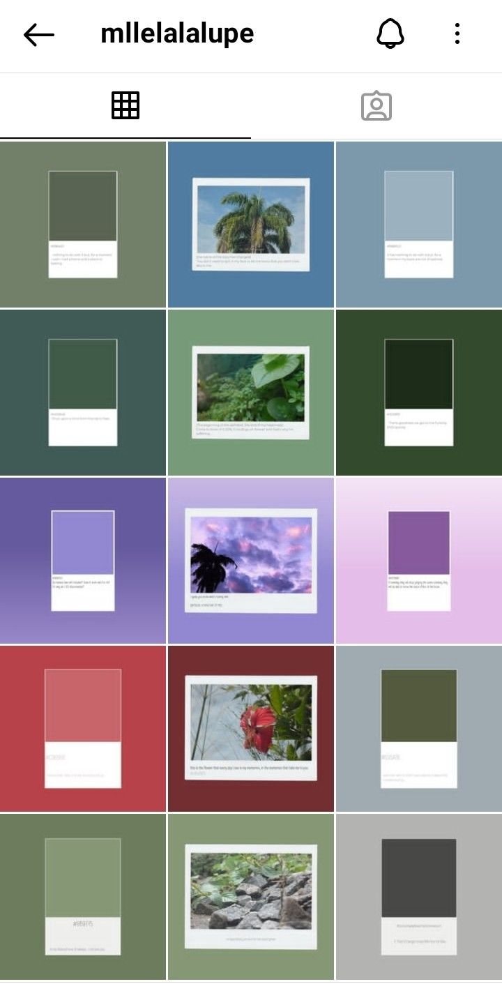 Ig feed Inspo Colour Palette Instagram, Content Plan, Ig Feed, Content Planning, Colour Palette, Instagram Feed, How To Plan, Photography, On Instagram