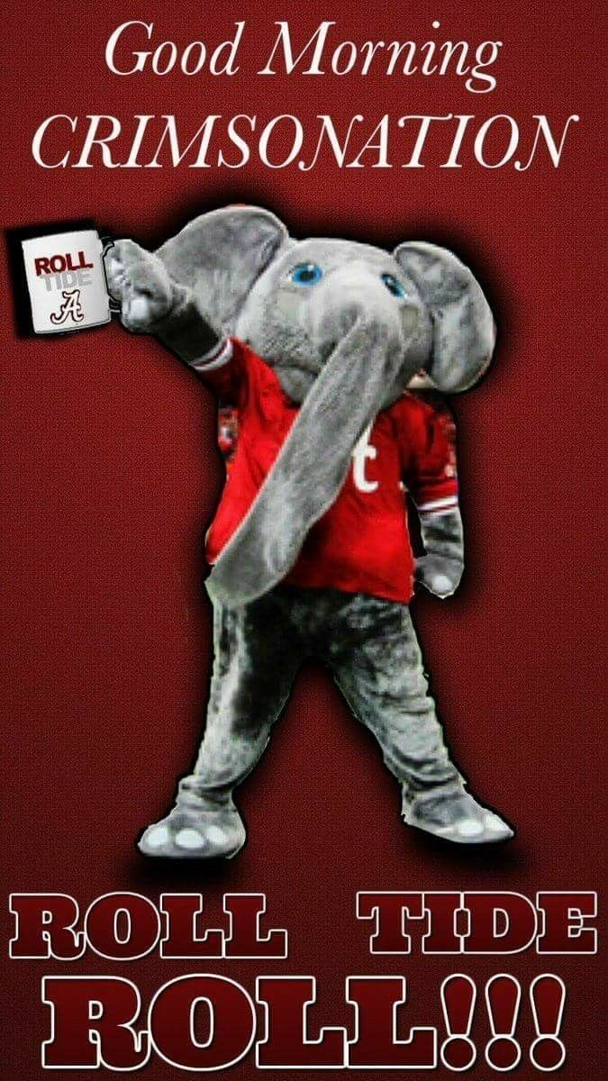 an elephant in a red shirt with the words roll tide roll low on it's chest