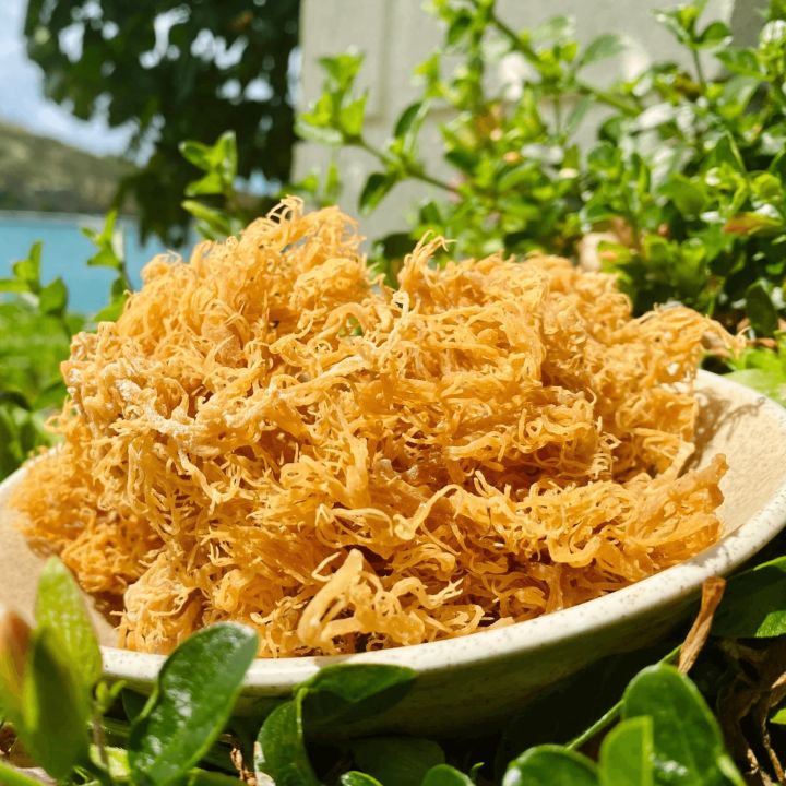 a wooden bowl filled with lots of dried food sitting on top of green plants next to the ocean