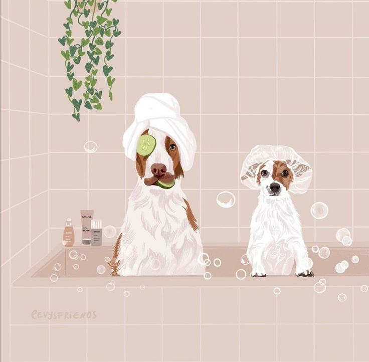 two dogs are sitting in the bathtub with soap on their heads