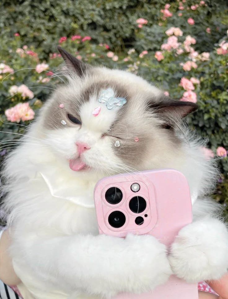 a cat is taking a selfie with its pink cell phone in it's paws