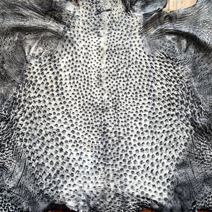 an elephant's skin is shown with spots on it