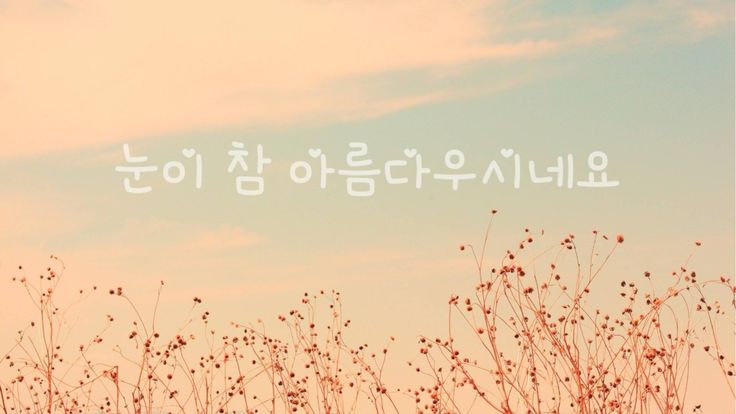 the words are written in korean on top of some tall grass with small red flowers