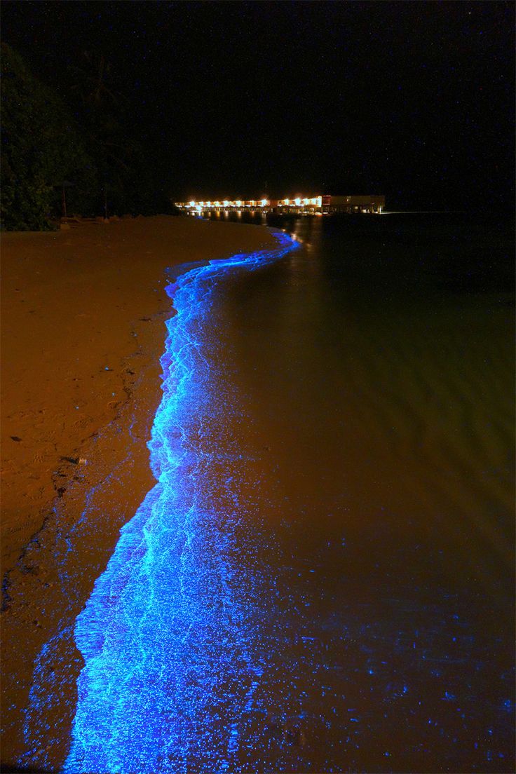 the beach is lit up with blue lights