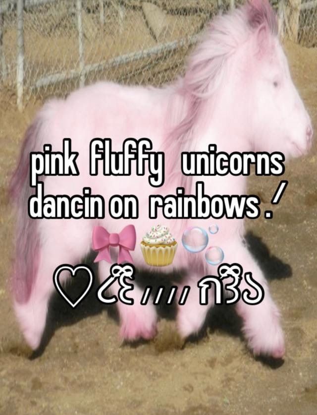 pink fluffy unicorns dance on rainbows