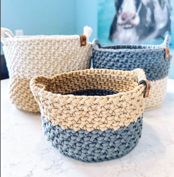 three woven baskets sitting on top of a white counter next to a dog portrait in the background