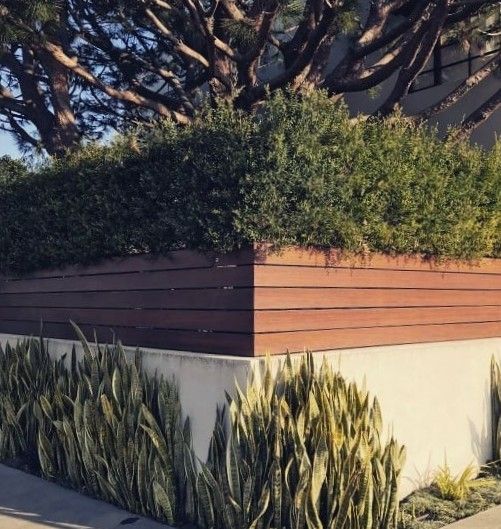 an outdoor area with trees and plants on the side of the road in front of a house