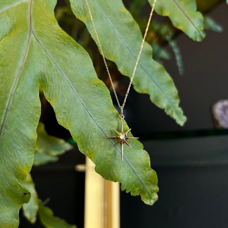 The 14k solid gold Northern Star Gemstone Pendant symbolizes facing and embracing ones fears, and finding that which guides us. Pendant measures 22mm x 18mm and has a 2mm center stone. Northern Star, Birthstone Pendant, Gemstone Pendant, Solid Gold, Opal, Gemstones, Chain, Stone, Pendant