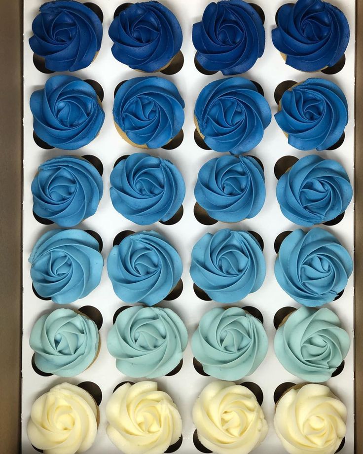 blue and white cupcakes in a box with frosting swirled around the edges