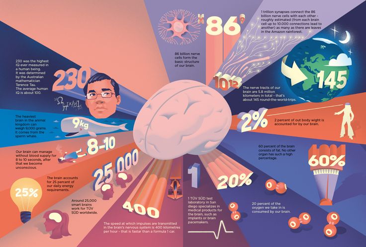 an info graphic showing the number of people who are in their 20s's and older years