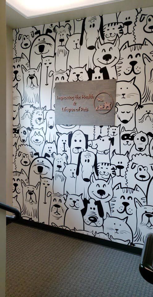 a wall with many dogs drawn on it