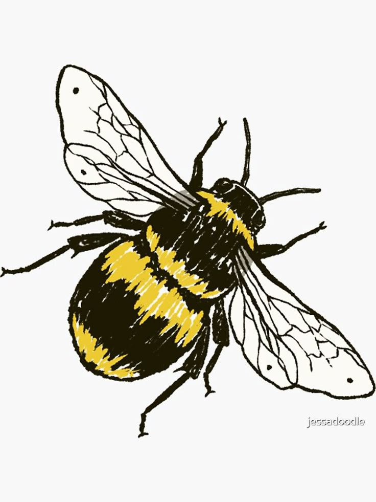 a drawing of a bee on a white background with black and yellow lines in the middle