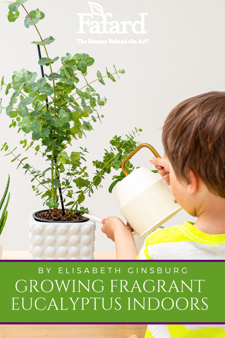 a young boy holding a watering can next to a potted plant on a table