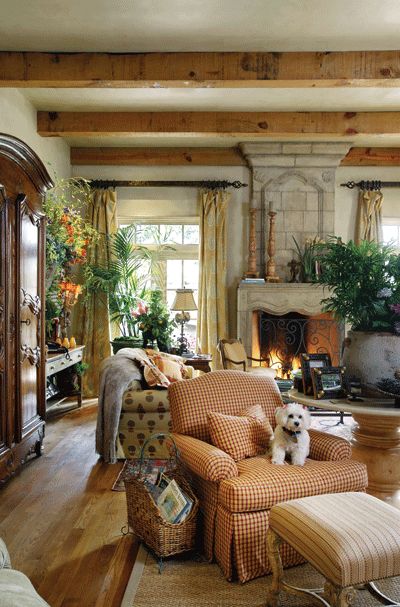 a living room filled with lots of furniture and a dog sitting on top of a chair