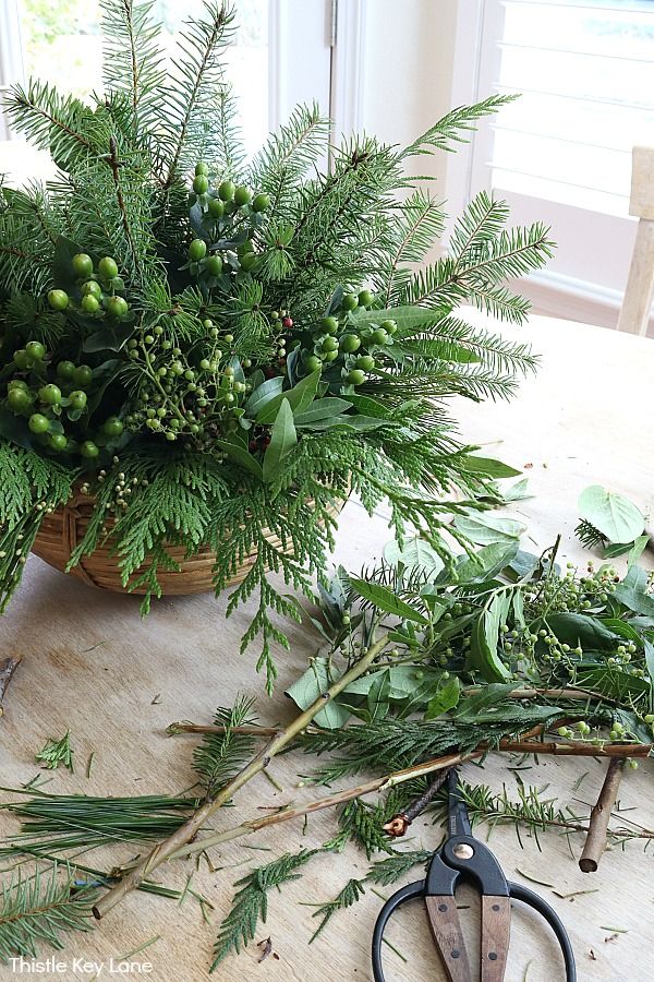 some plants and scissors on a table