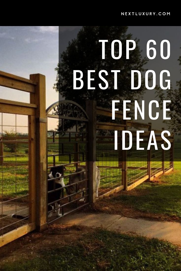 a fence with the words top 60 best dog fence ideas in white overlays