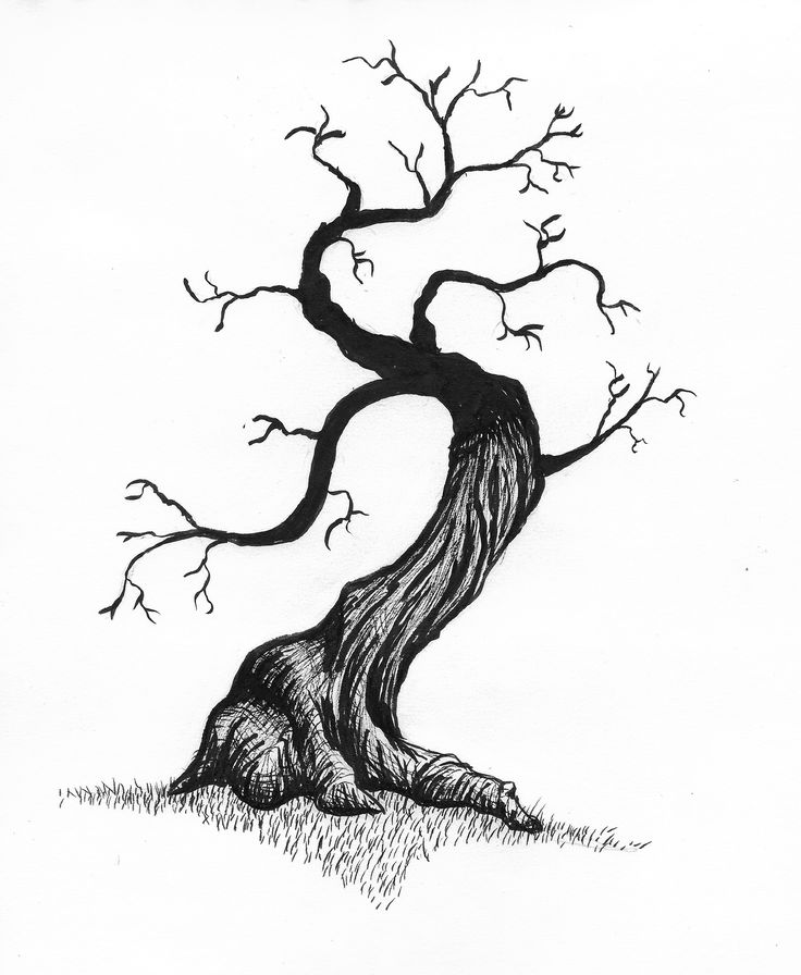 a drawing of a tree with no leaves