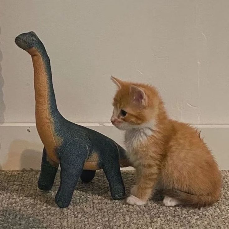 an orange and white kitten sitting next to a toy dinosaur