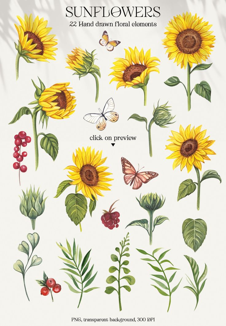 sunflowers and other flowers are shown in this poster