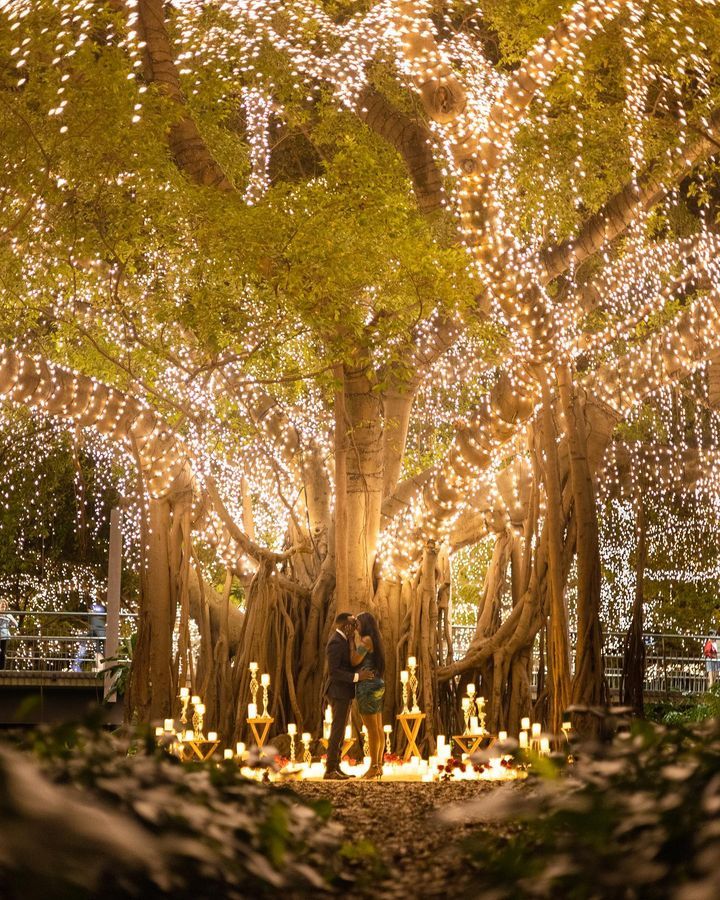 How Much You Can Expect To Spend on a Proposal Cave Wedding Ideas, Places To Get Proposed To, Proposal Ideas Restaurant, Pretty Proposals, Best Proposal Ideas Creative, Mexico Proposal, Proposal Ideas Nature, Proposals In Nature, Dream Proposal Romantic