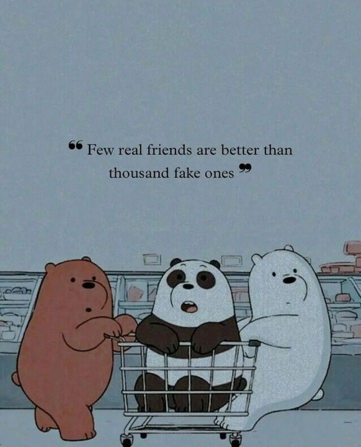 three bears in a shopping cart with the caption few real friends are better than thousands fake ones