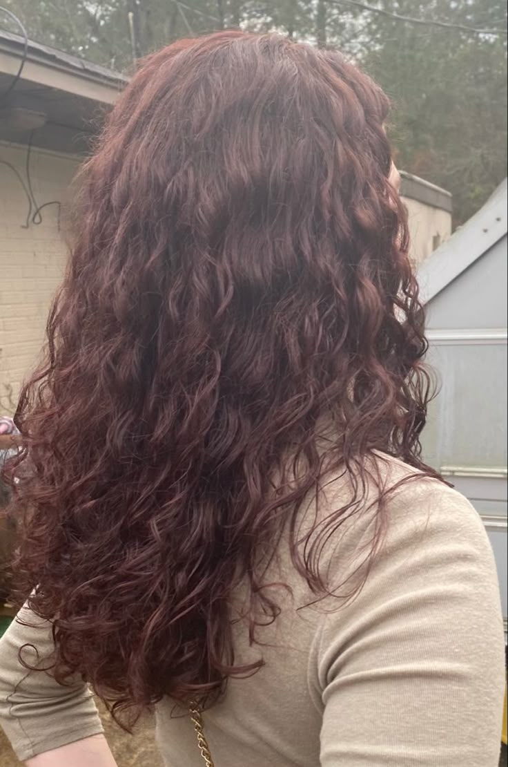 reddish brown burgundy hair Natural Red Wine Hair Color, Burgundy Balayage On Curly Hair, Burgundy Brown Curly Hair, Burgundy Hair On Brown Hair, Red Hair Curly Hair, Maroon Hair Curly, Burgundy Hair On Curly Hair, Dark Auburn Hair Color Curly, Hair Color Inspo For Curly Hair