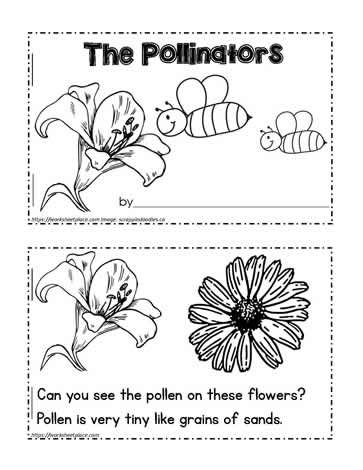 worksheet for the pollinetors with pictures of flowers and bees on them