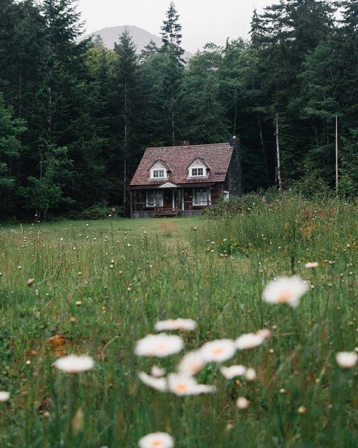 a house in the middle of a field with daisies on the foreground and trees in the background