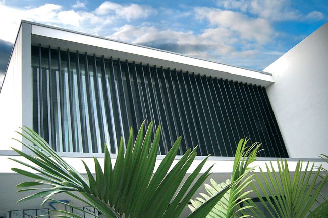 a palm tree in front of a white building with vertical blinds on the window sill