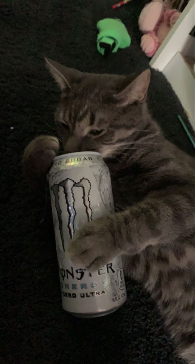 a cat is laying on the floor with a can of monster energy drink in it's paws