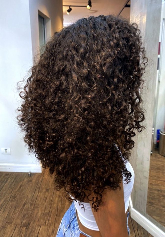 Natural Curls Long Hair, Long Defined Curly Hair, Black To Brown Curly Hair, Long Brown Natural Hair, Curly Hair Growth Before And After, Brown Curly Hair With Lowlights, Curly Hair Aesthetic Pictures, Long 3a Curly Hair, Curly Hair Cuts 3b 3c