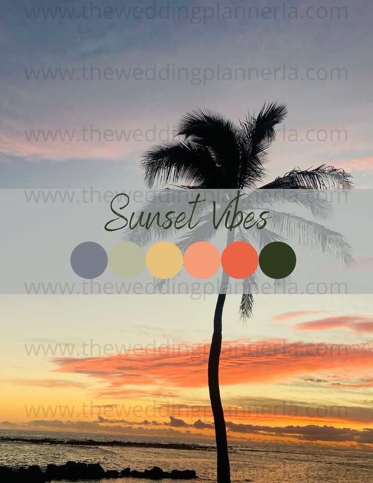 a palm tree with the words sunset vibes on it in front of an ocean