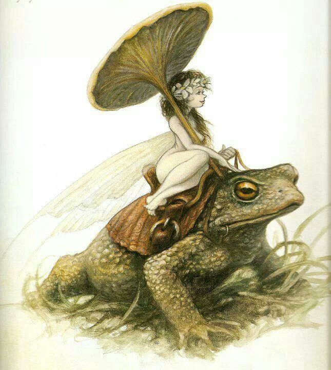 a fairy riding on the back of a frog