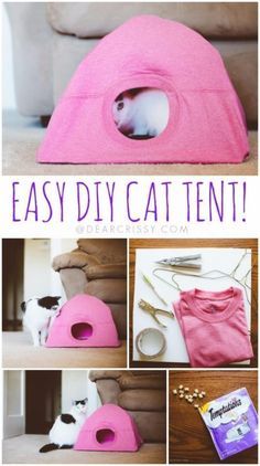 an easy diy cat bed that is perfect for cats to sleep in and play with