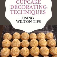 cupcake decorating techniques using willowton tips cover image with text overlay that reads, cupcake decorating techniques using willowton tips