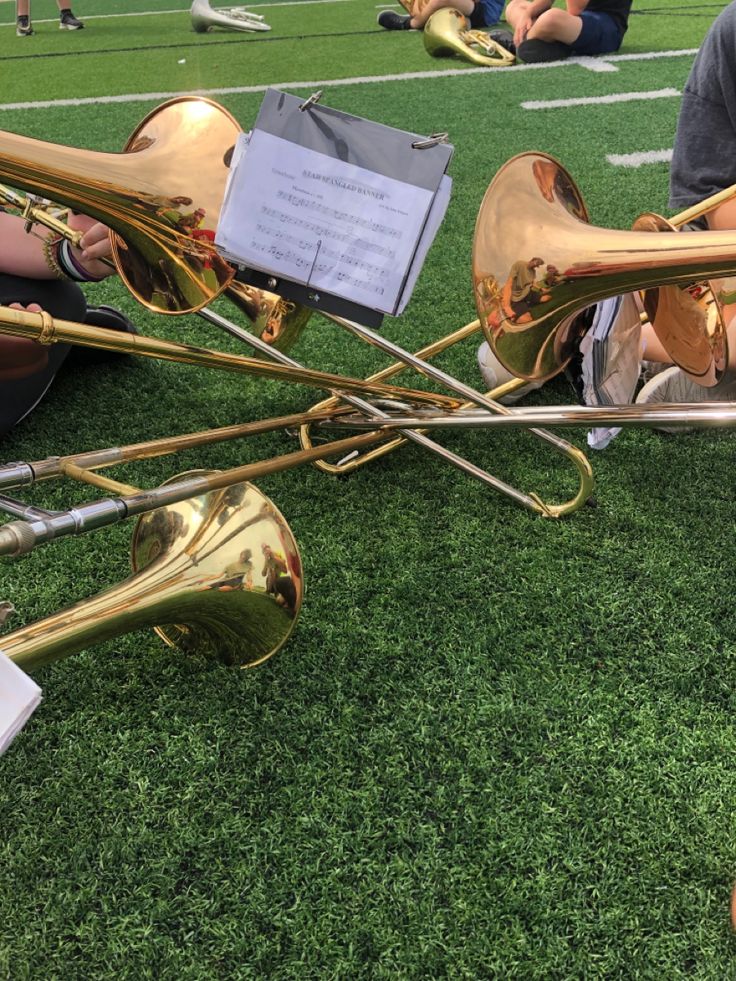 people sitting on the grass playing musical instruments