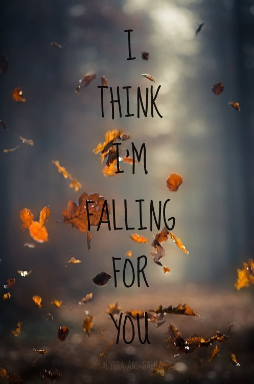 the words i think em falling for you are written in autumn leaves