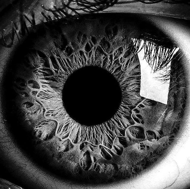 an extreme close up shot of the iris of someone's eye