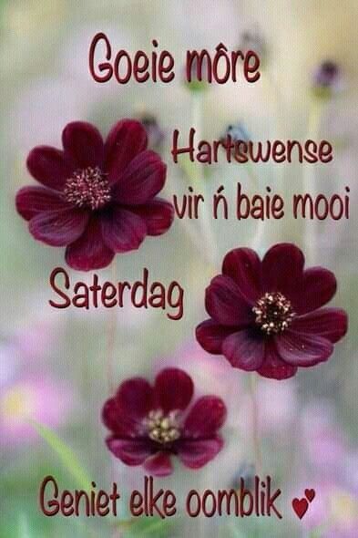 three red flowers with the words goetie more harwense var n'bei mooi saterdag genie elke ombilk