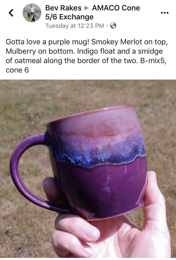 someone holding up a purple and blue coffee mug in their left hand, with the caption below it